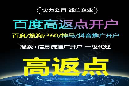 揭秘成功的关键词竞价排名背后的策略与执行